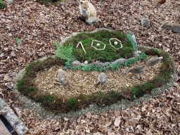 556967817_1367471615383496_3224374218165676704_n